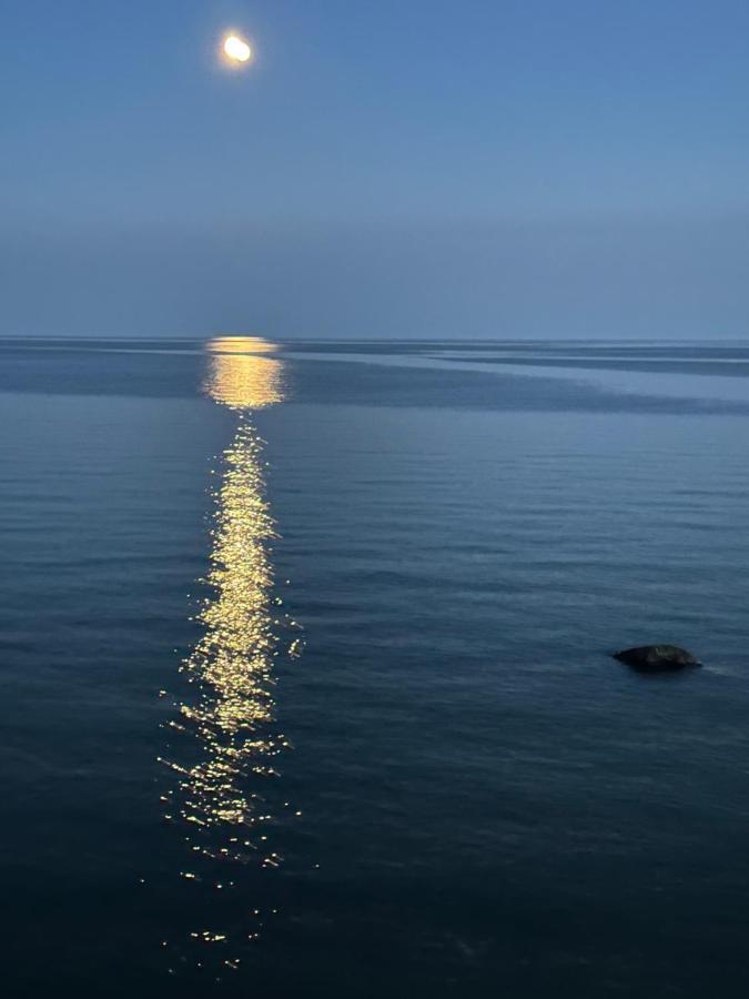 Bed and Breakfast The Wind In The Willows - Luxury Lakefront Oasis Cobourg Exteriér fotografie